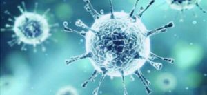 بيان منظمة الصحة العالمية حول فيروس كورونا 